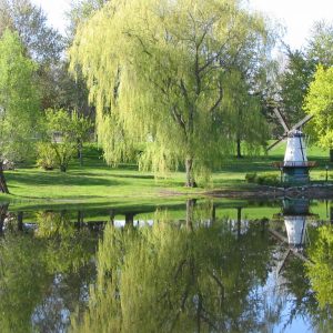 southern Ontario christian camp