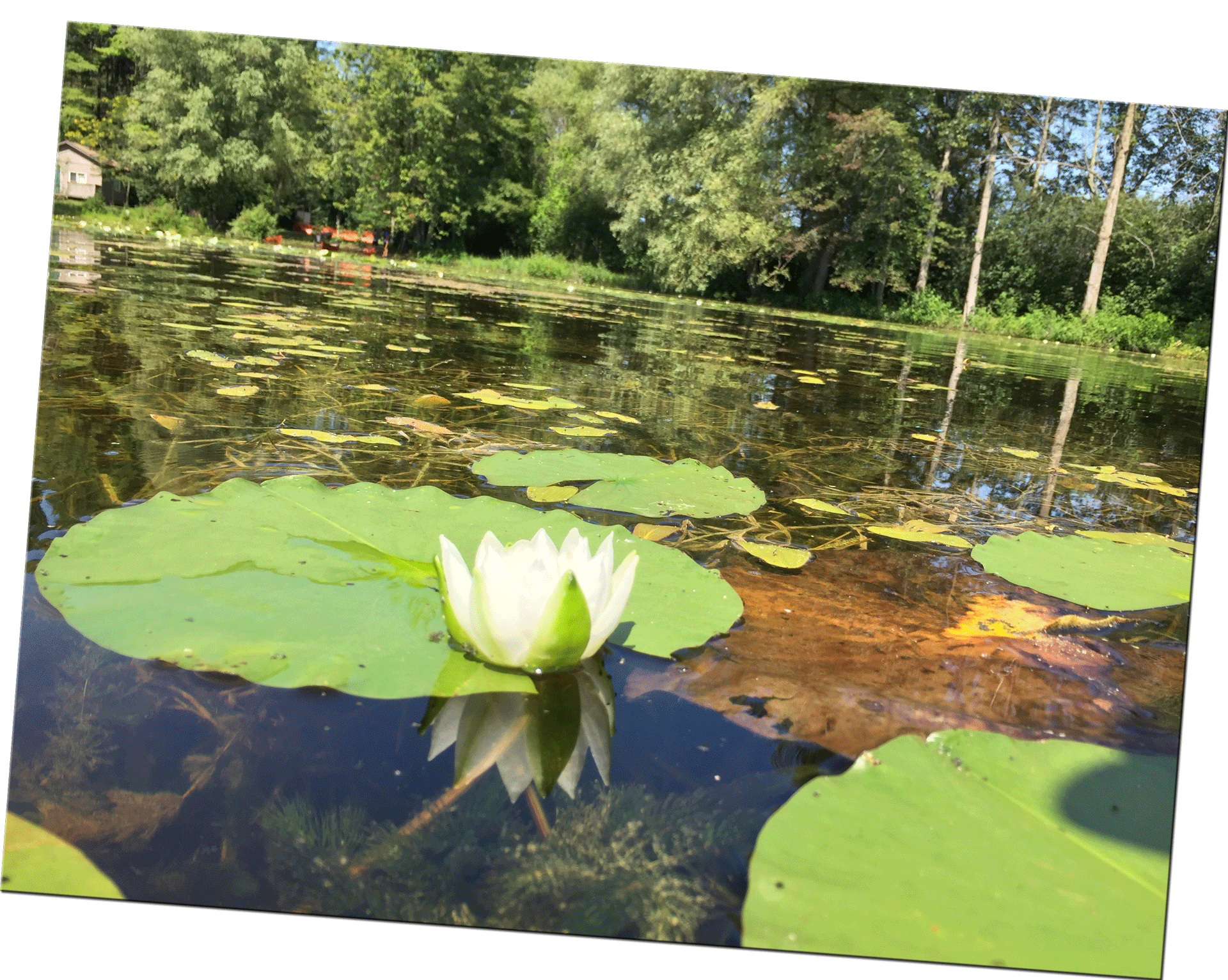 Pond at Christian retreat centre cross ontario